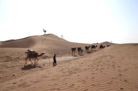 Pistes caravanieres du sud marocain